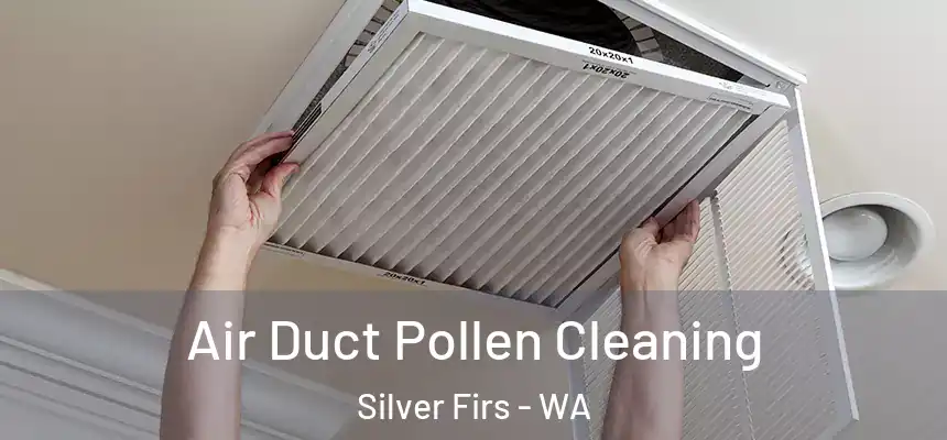  Air Duct Pollen Cleaning Silver Firs - WA