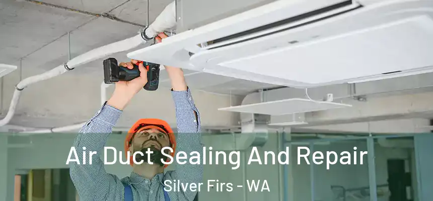  Air Duct Sealing And Repair Silver Firs - WA