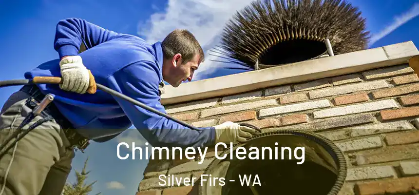 Chimney Cleaning Silver Firs - WA