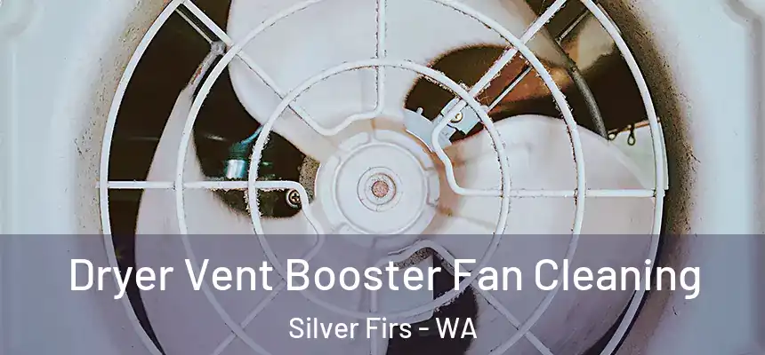  Dryer Vent Booster Fan Cleaning Silver Firs - WA