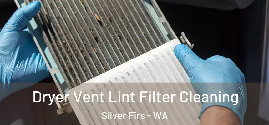  Dryer Vent Lint Filter Cleaning Silver Firs - WA