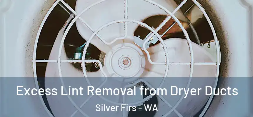 Excess Lint Removal from Dryer Ducts Silver Firs - WA
