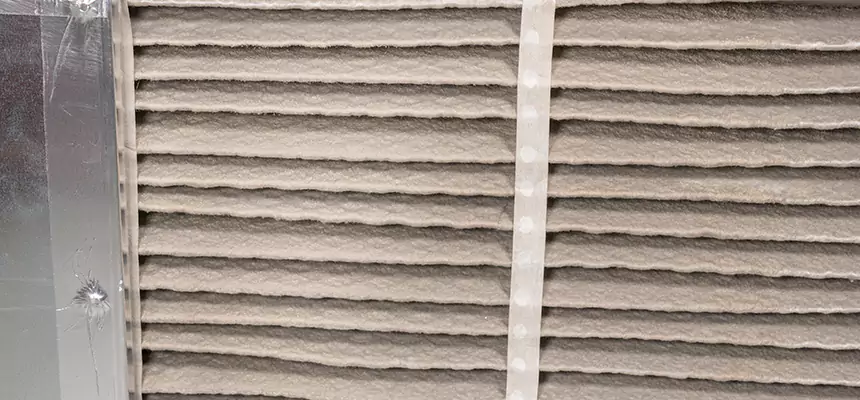 Mobile Car AC Filter Replacement in Silver Firs