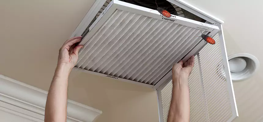 Preventive Cockroach-Proofing for Ducts in Silver Firs