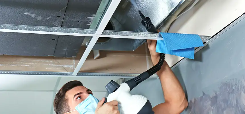 Our Air Duct Rodent Removal Services in Silver Firs, WA