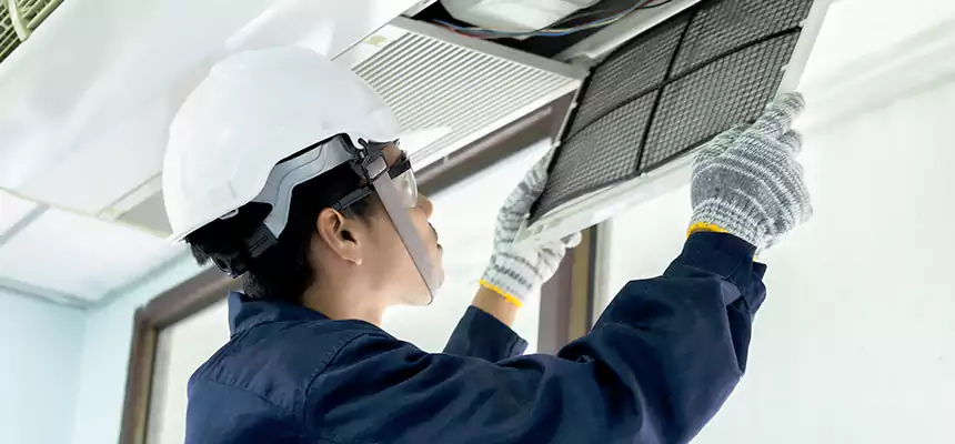 Our Mold & Mildew Removal from Air Ducts Services in Silver Firs, WA