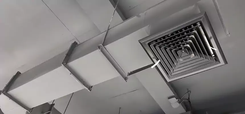 Our Pest Removal From Ducts Services in Silver Firs, WA