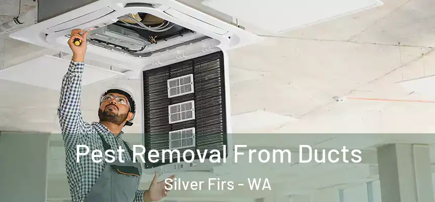  Pest Removal From Ducts Silver Firs - WA