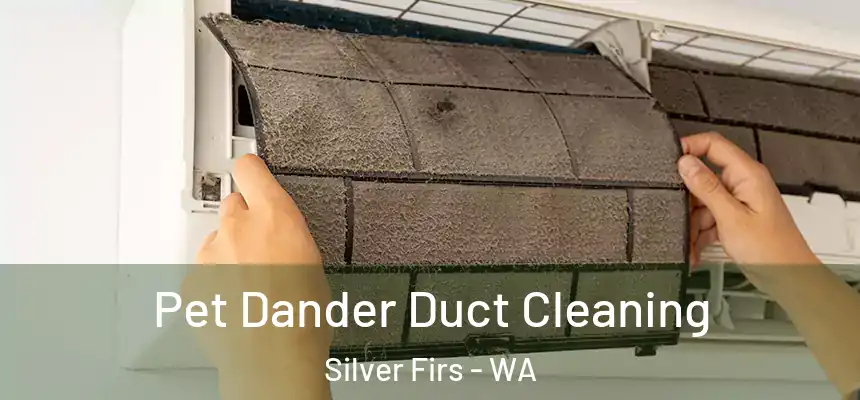 Pet Dander Duct Cleaning Silver Firs - WA