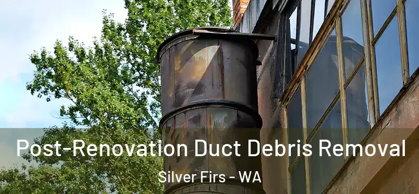  Post-Renovation Duct Debris Removal Silver Firs - WA