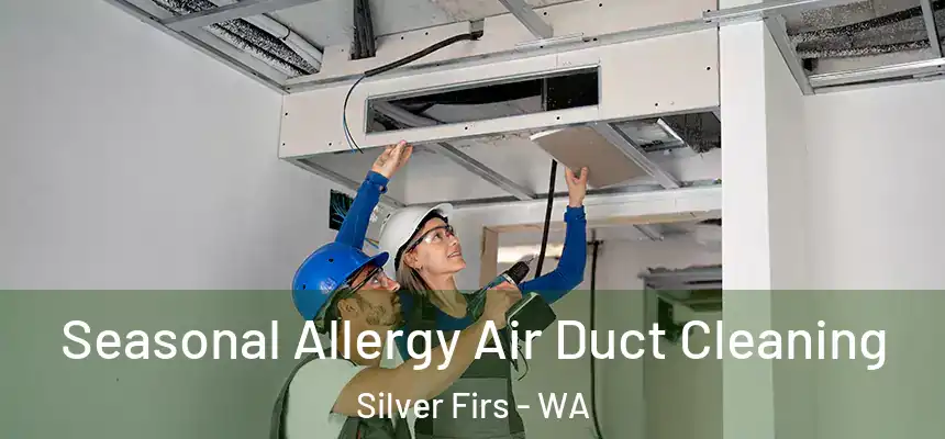 Seasonal Allergy Air Duct Cleaning Silver Firs - WA