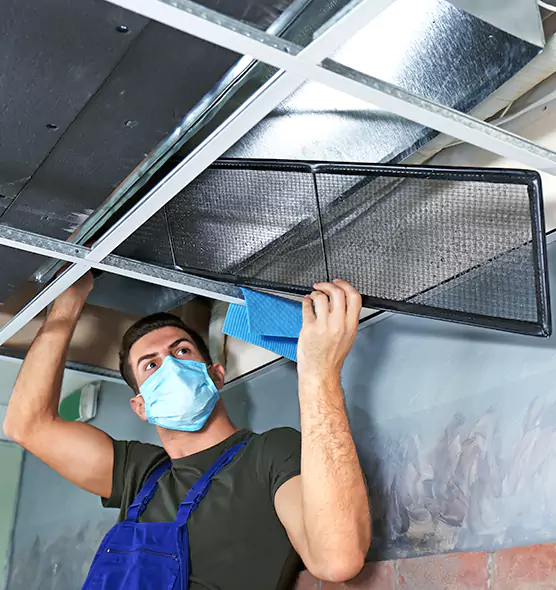 About Air Duct Bacteria Removal in Silver Firs