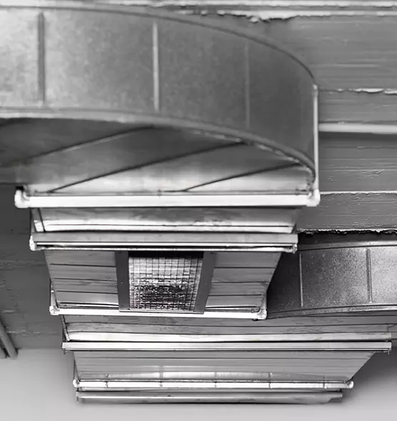 Professional Air Duct Pet Hair Removal in Silver Firs, WA