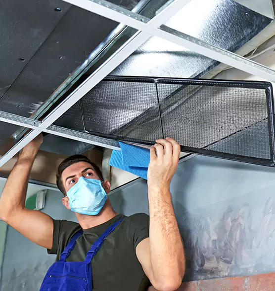Professional Air Duct Pollen Cleaning in Silver Firs, WA
