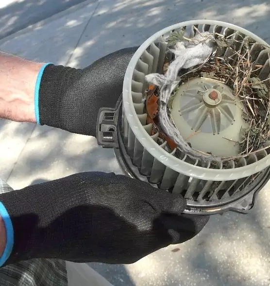 About Air Duct Rat Removal in Silver Firs, WA