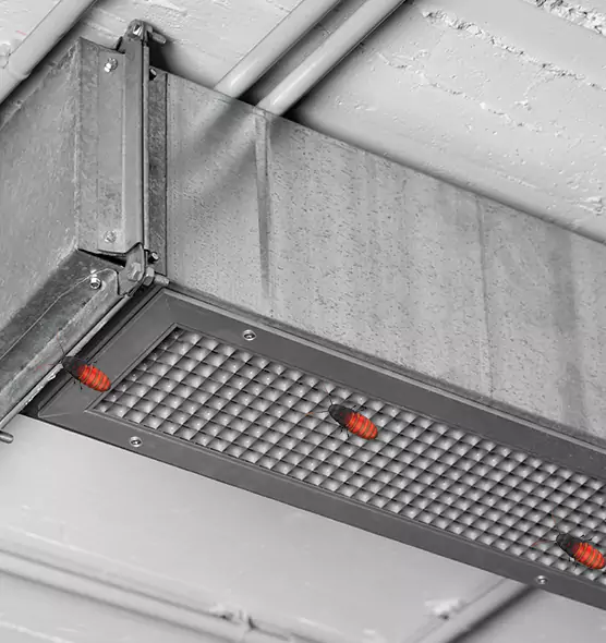 Affordable Insect Removal from Air Ducts in Silver Firs, WA