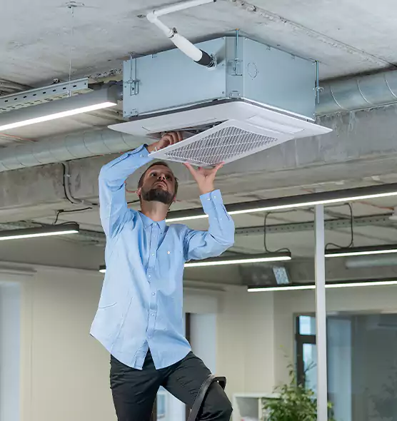 Advanced Rodent Droppings In Vents in Silver Firs, WA