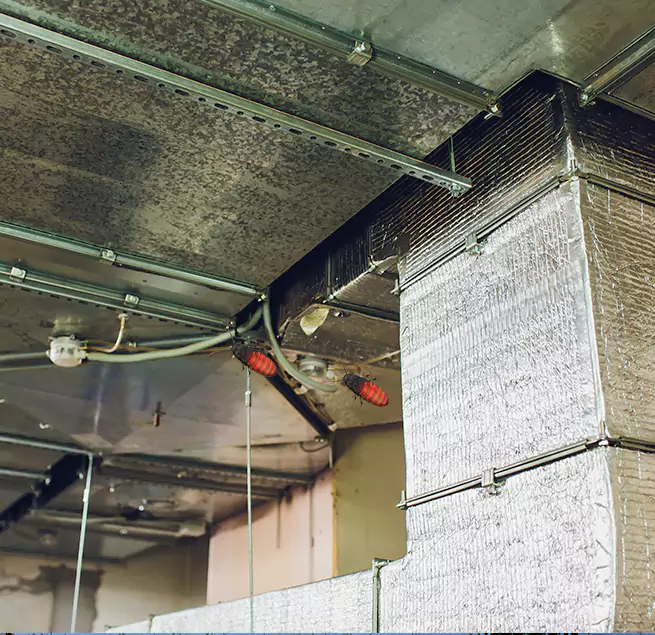 Why Homeowners & Businesses Trust Us in Silver Firs, WA?