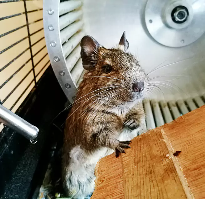 Why Homeowners & Businesses Trust Us Silver Firs, WA?