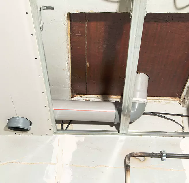 Why Homeowners & Businesses Trust Us in Silver Firs, WA?