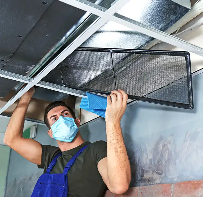 Why Homeowners & Businesses Trust Us in Silver Firs, WA?