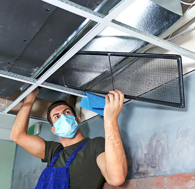 Why Homeowners & Businesses Trust Us in Silver Firs, WA?