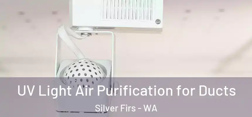  UV Light Air Purification for Ducts Silver Firs - WA